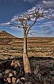 172 Damaraland, etendenka mountain camp, moringa